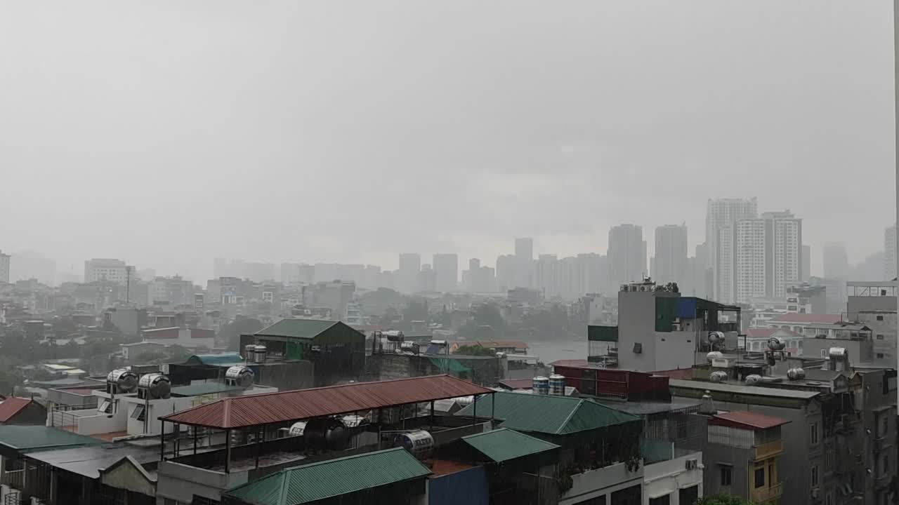 雨在城市视频下载