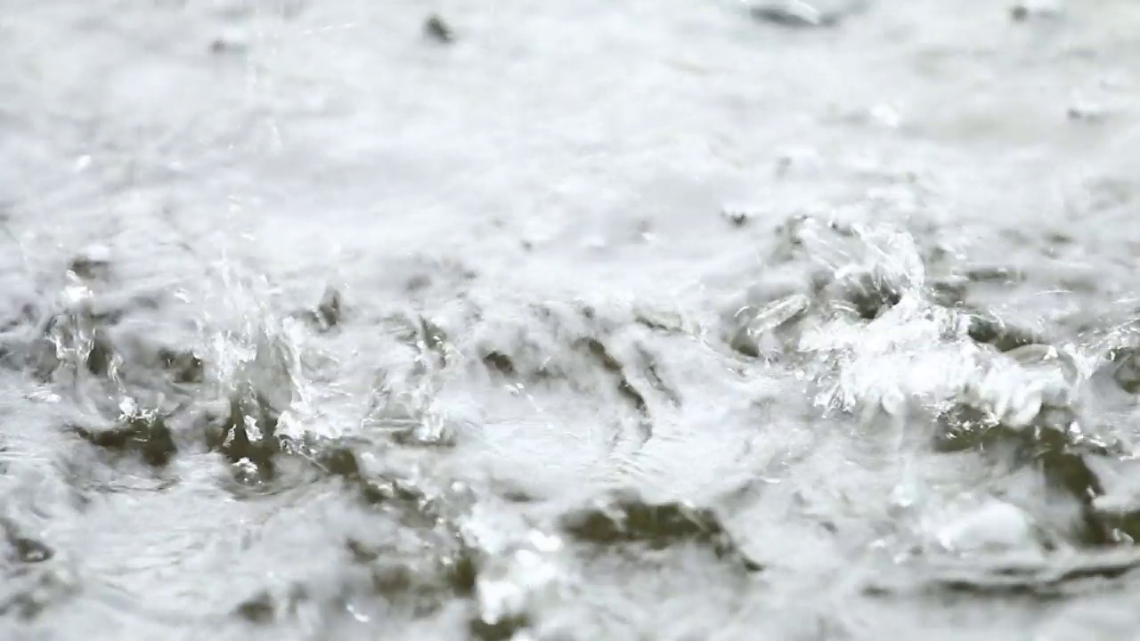 雨落在地上视频素材