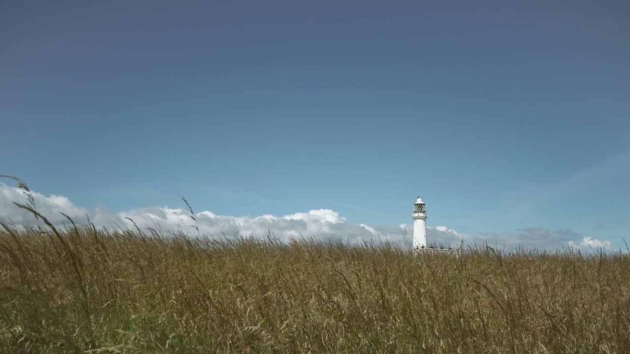 高高的野草随风飘动，灯塔在蓝天下的地平线上。Flamborough,英国。视频下载