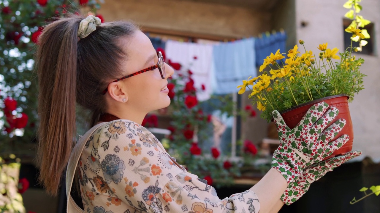 年轻的成年女子很欣赏她的室内植物视频素材