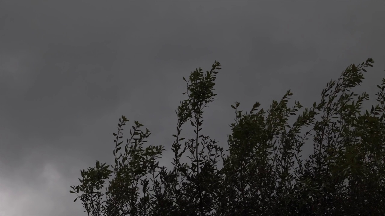 风移动树枝，而黑暗的暴风雨和雨云在天空中移动，即将到来的风暴和天气变化概念视频素材