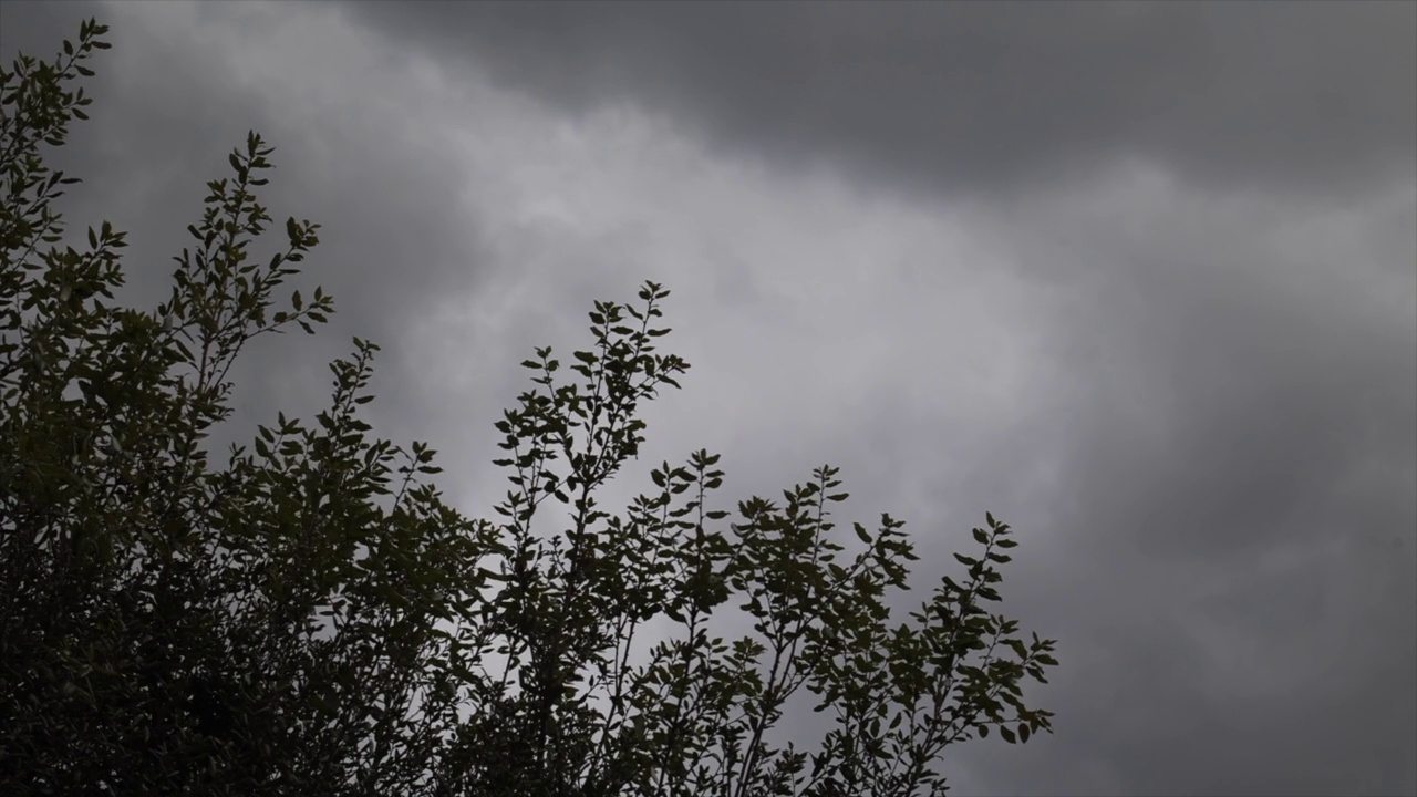 风移动树枝，而黑暗的暴风雨和雨云在天空中移动，即将到来的风暴和天气变化概念视频素材