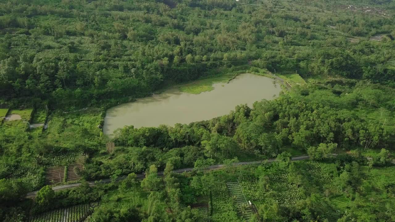 湖水因采矿活动而呈现绿色，周围环绕着茂密的森林视频素材