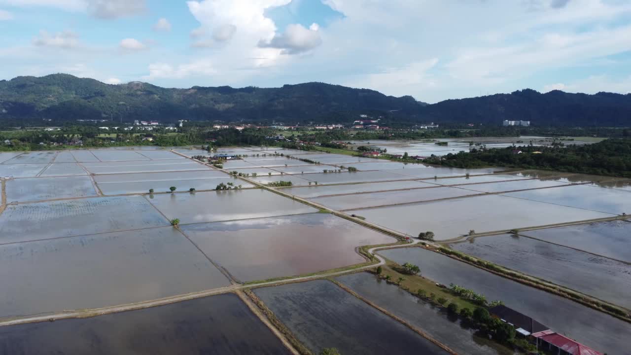 水田栽培鸟瞰图视频素材