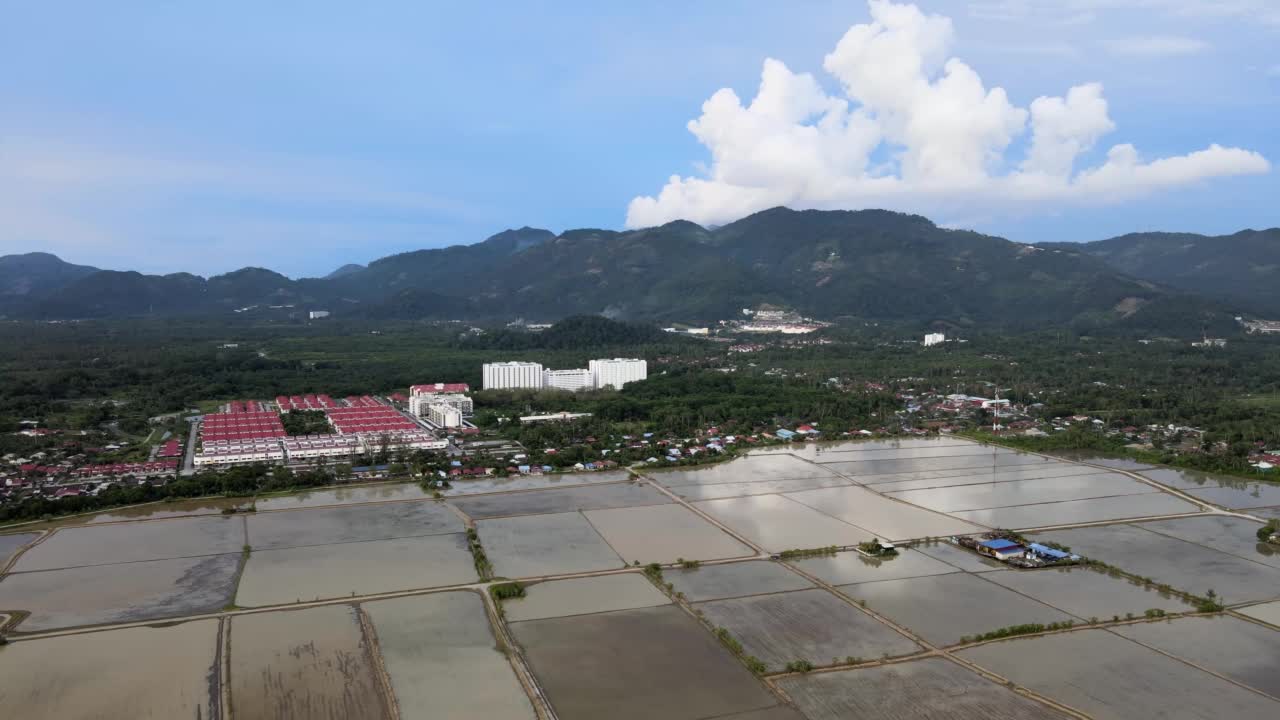 鸟瞰图巴力克岛水田水季视频素材