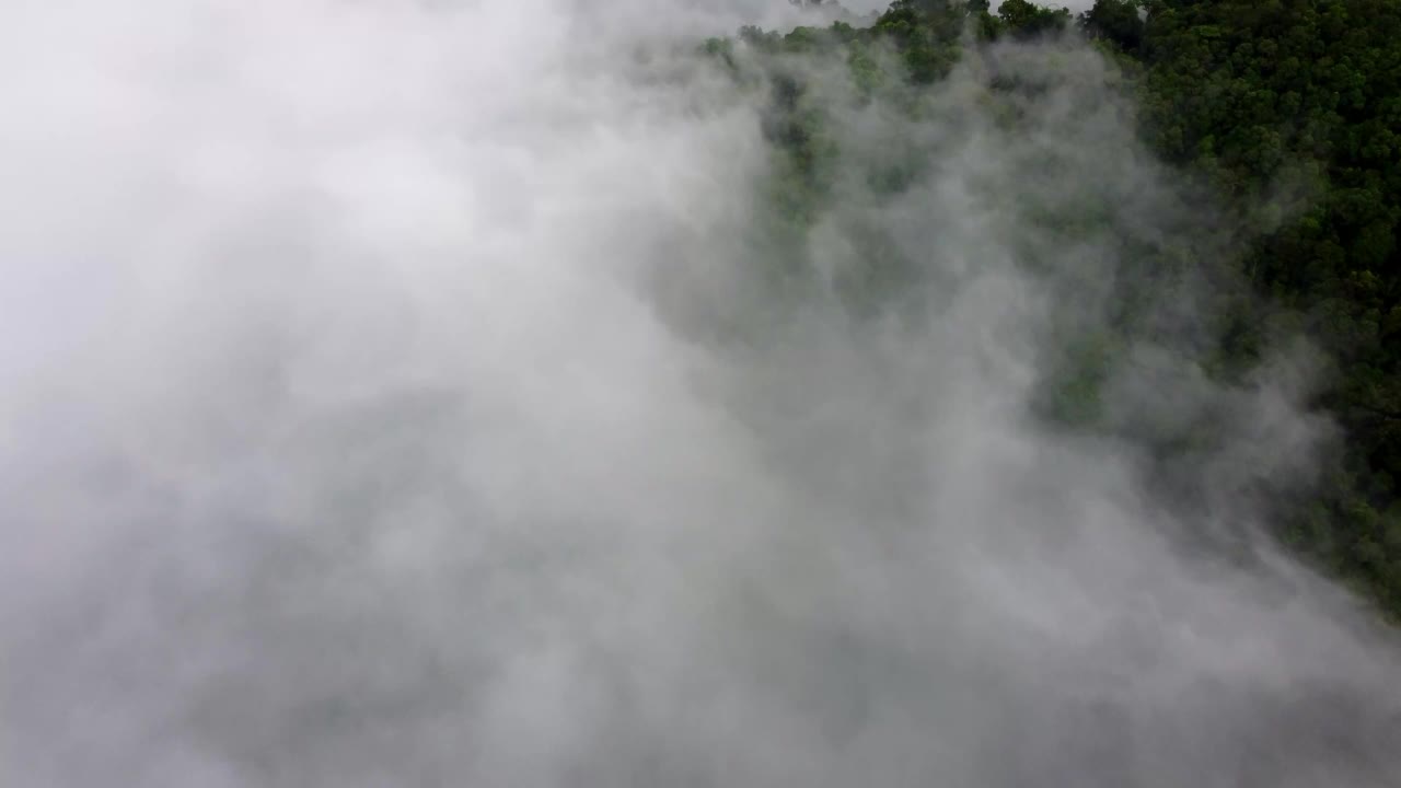 鸟瞰图高地雨林低雾云视频素材