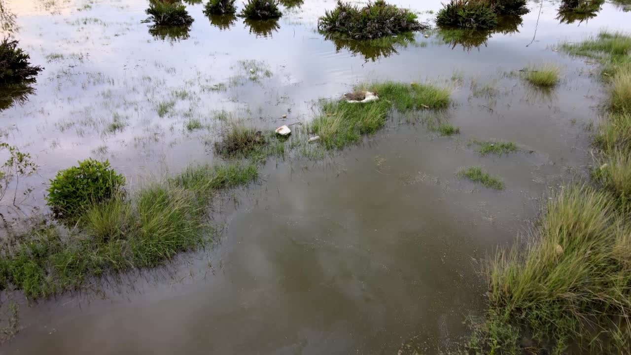 鸟瞰池塘的垃圾视频素材