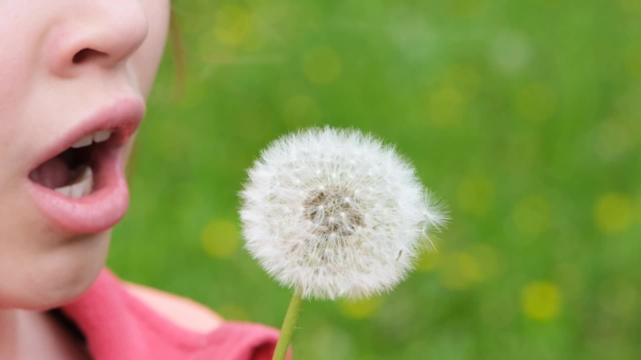 十几岁的女孩孩子拿着蒲公英吹。快乐的童年的概念。在户外玩。夏季慢动作视频视频素材