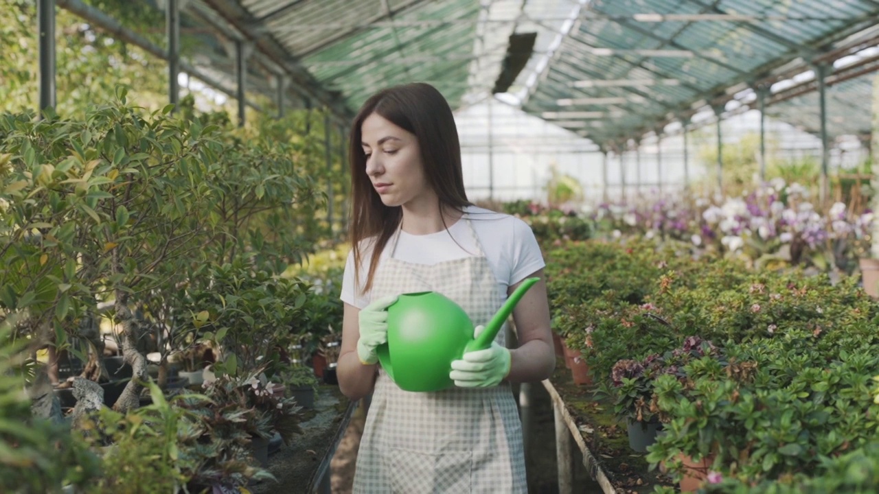 快乐的女花匠在围裙浇水室内植物和花。这个女孩在温室里照料室内植物。照顾花视频素材