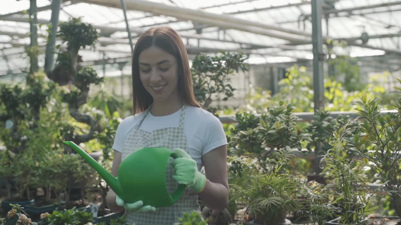 快乐的女花匠在围裙浇水室内植物和花。这个女孩在温室里照料室内植物。照顾花视频素材