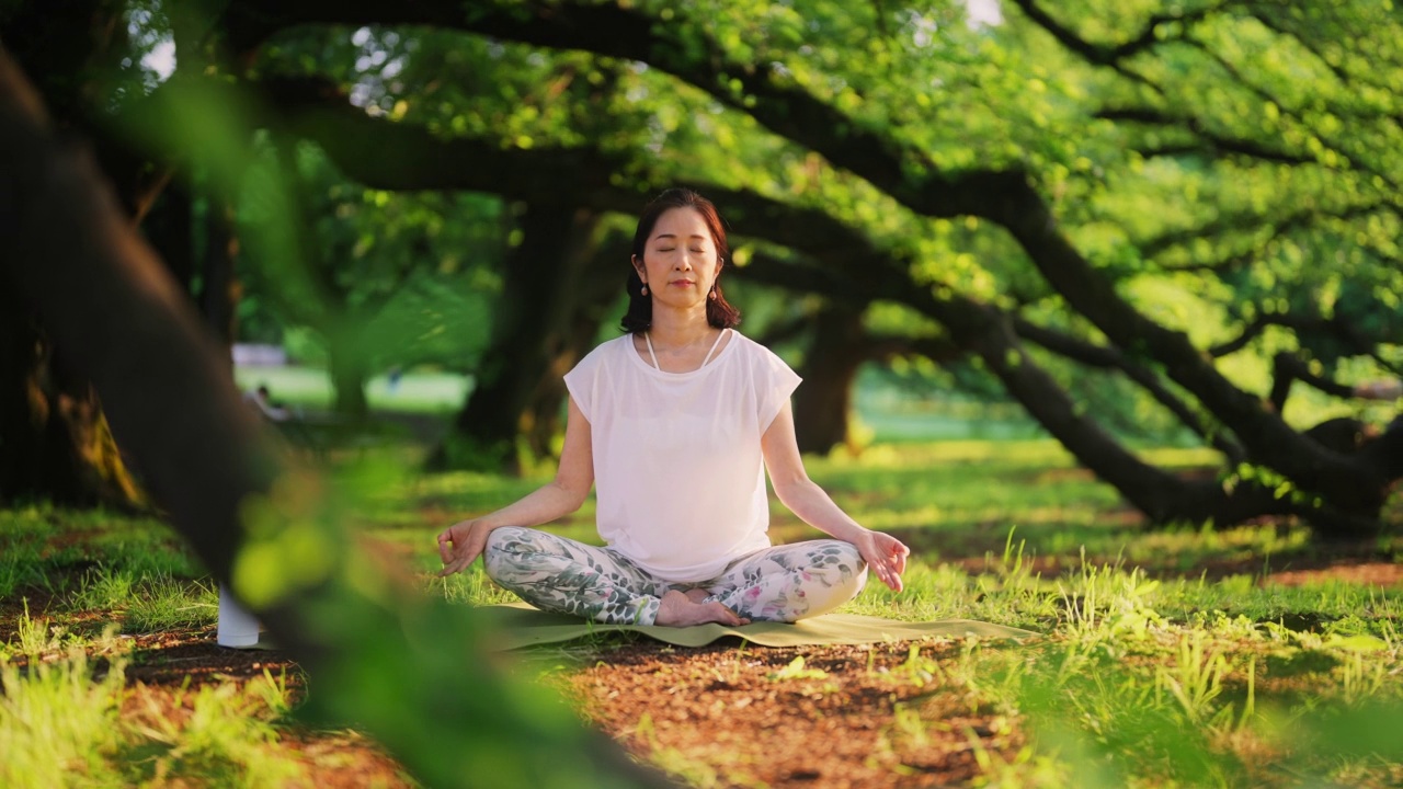 女人在大自然中冥想视频素材