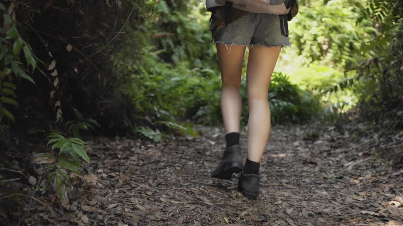 在森林里行走的女人的后面。今天真是大自然的好天气。视频素材