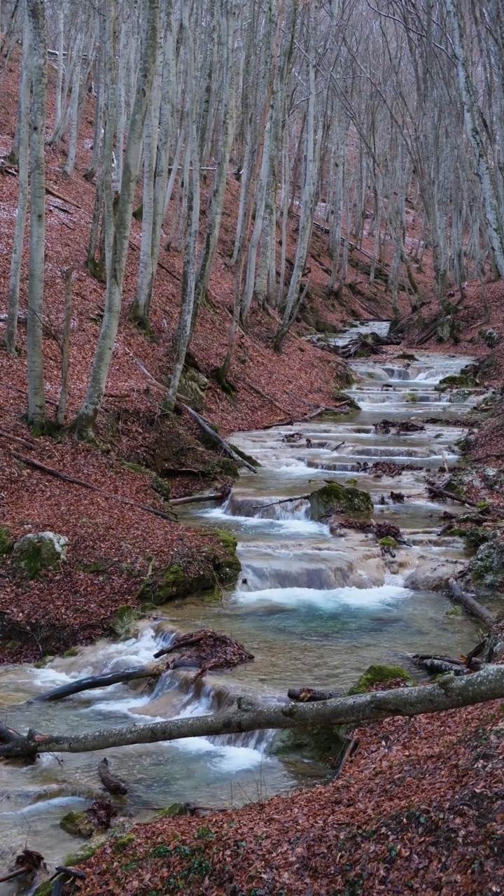 山河林秋。视频素材