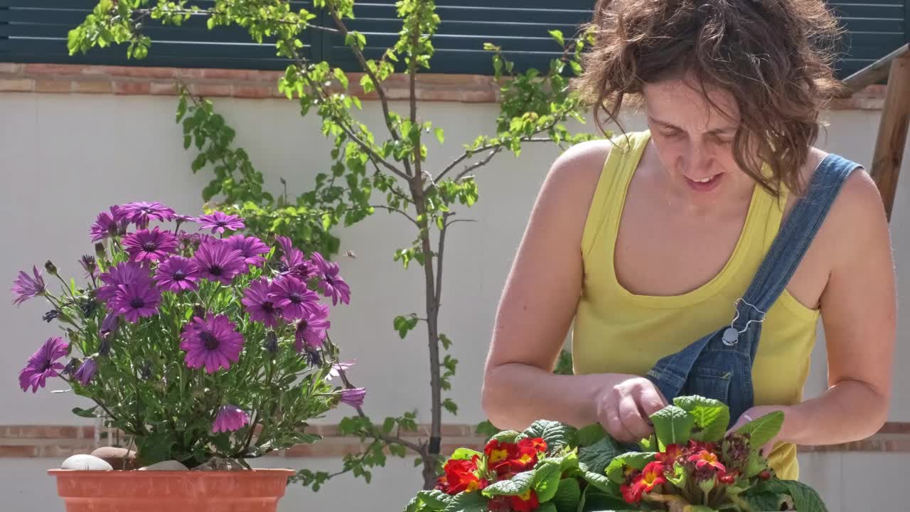 年轻的女子与卷发照顾植物与绿叶和红色的花朵视频素材