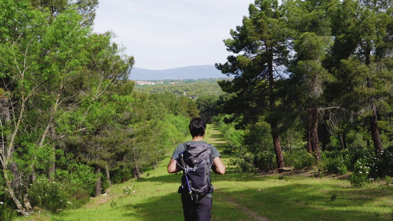 一个人背着背包在山里徒步旅行。一个人在绿地上徒步旅行的游客视频素材