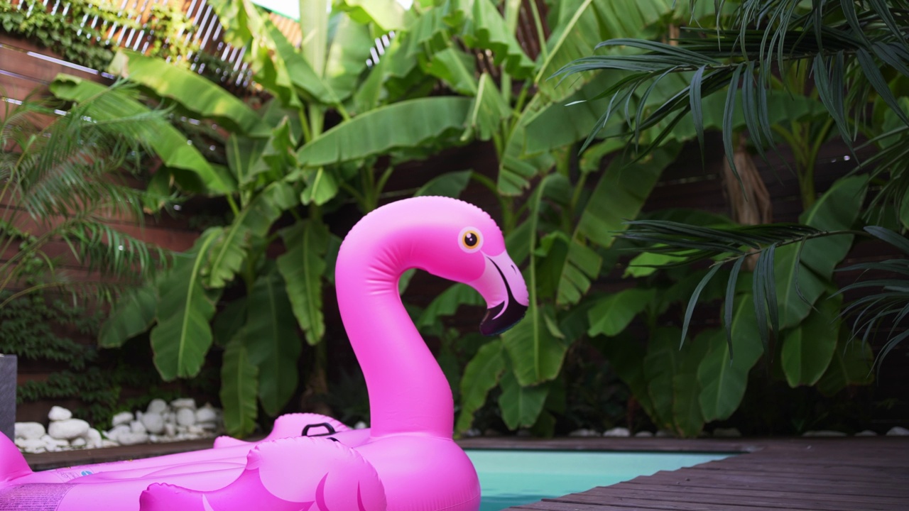 一只充气的浮动火烈鸟在游泳池里游泳。奢侈的假期视频素材