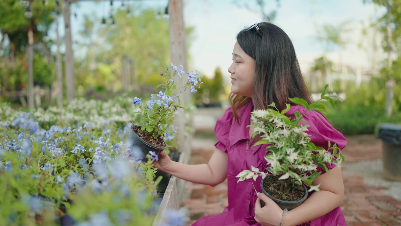 亚洲女性顾客在花园商店购买绿色植物，一位年轻女士在花卉市场选择观赏植物，家居和花园概念。视频素材