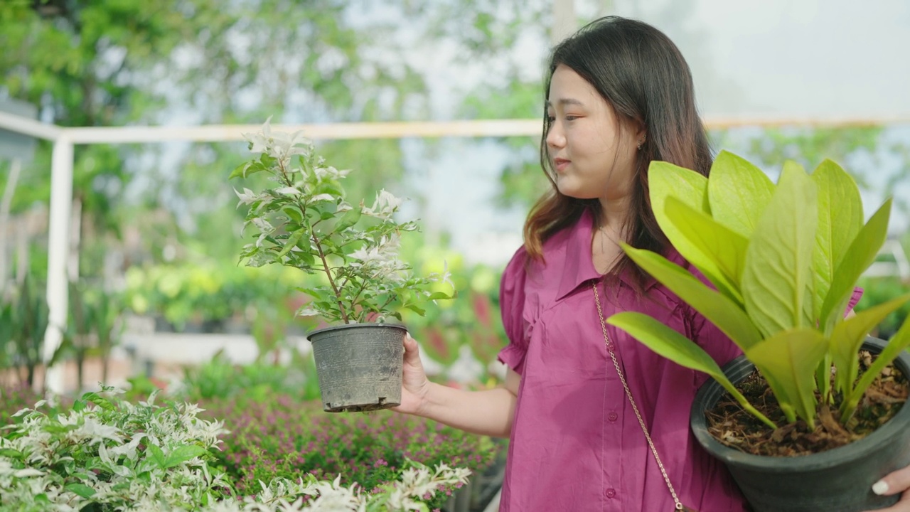 亚洲女性顾客在花园商店购买绿色植物，一位年轻女士在花卉市场选择观赏植物，家居和花园概念。视频素材