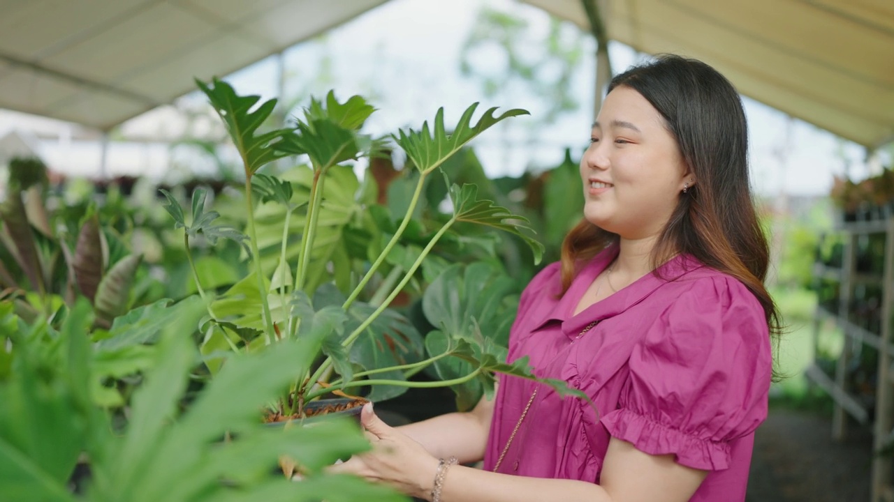 亚洲女性顾客在花园商店、家和花园的概念选择Monstera植物。视频素材