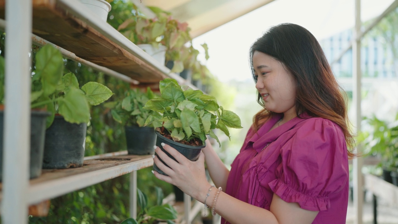 亚洲女性顾客在花园商店购买绿色植物，一位年轻女士在花卉市场选择观赏植物，家居和花园概念。视频素材