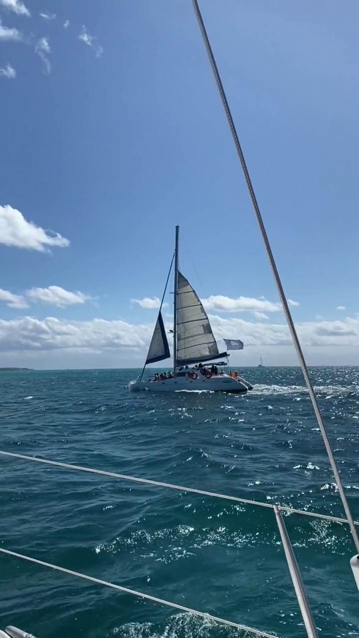 阳光明媚的日子，在Cancún加勒比海海域航行的双体船视频素材