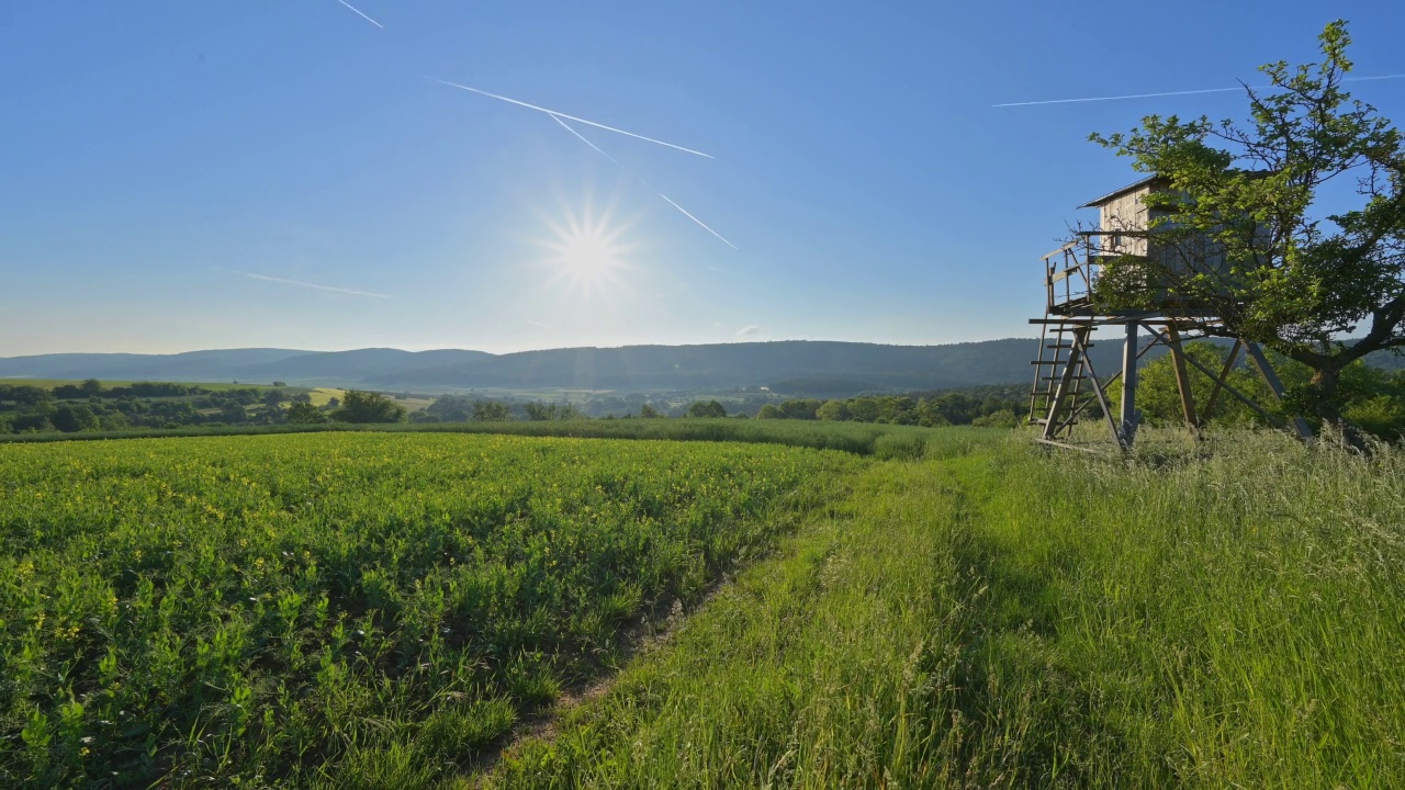 春天的日出，Großheubach, Miltenberg, Spessart, Bavaria，德国视频素材