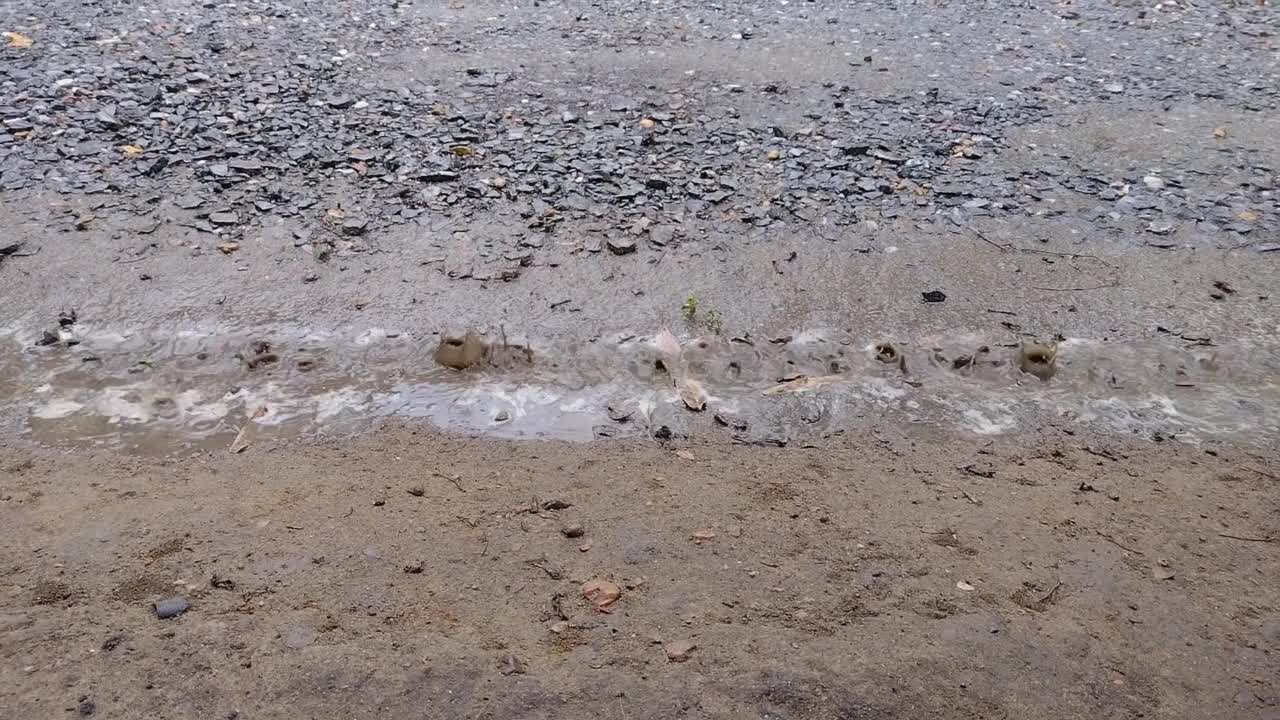 雨视频素材