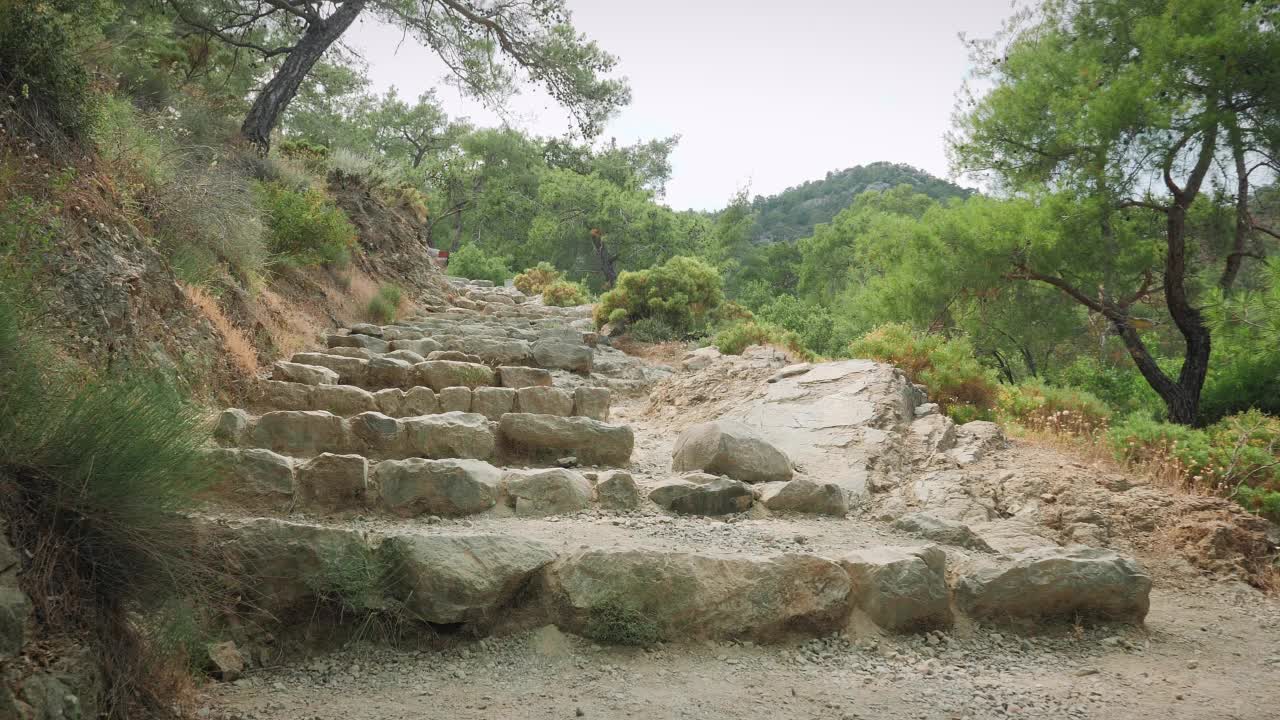 石阶上的泥土山路。在绿色的森林里用石头爬上山的楼梯。积极的生活方式。在山区徒步旅行。娱乐和休闲活动。野生自然景观视频素材