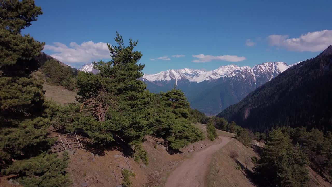 松树和白雪覆盖的山顶的山景视频下载