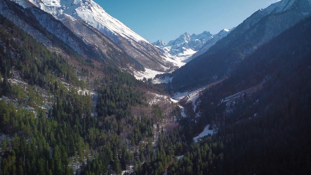 早春的山峡，针叶树，白雪覆盖的山峰视频下载