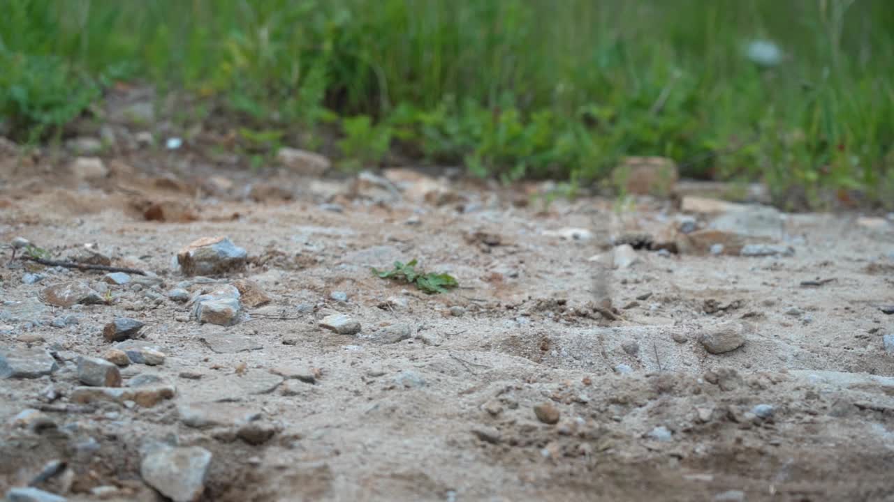 下坡时自行车要刹车。山地自行车手在骑自行车时踩刹车。男性山地自行车手特写自行车车轮和轮胎。阳光明媚的夏天的一天。缓慢的运动。低角度。特写镜头视频素材