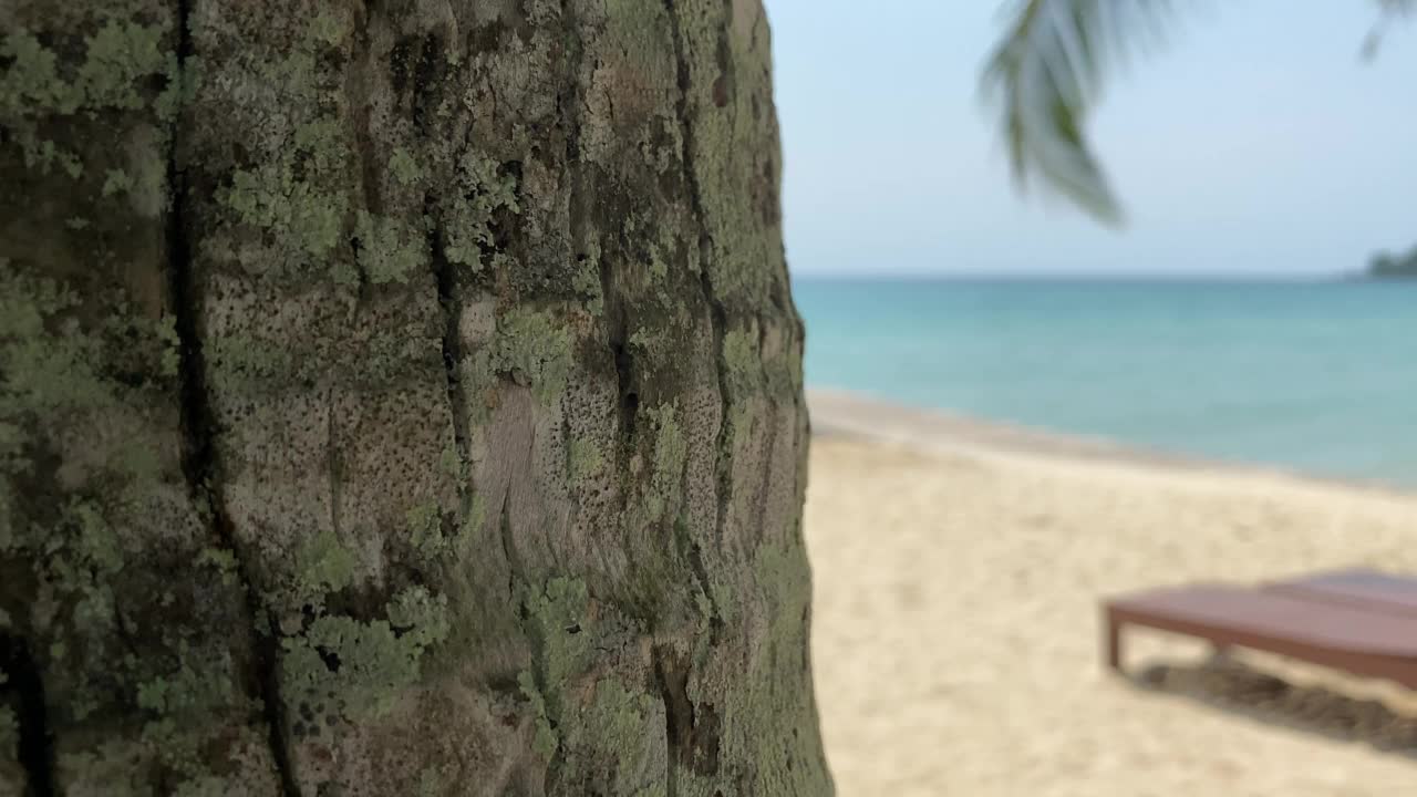 在空旷的海滩上放松。旅行到天堂海边海滩，拷贝空间。视频素材