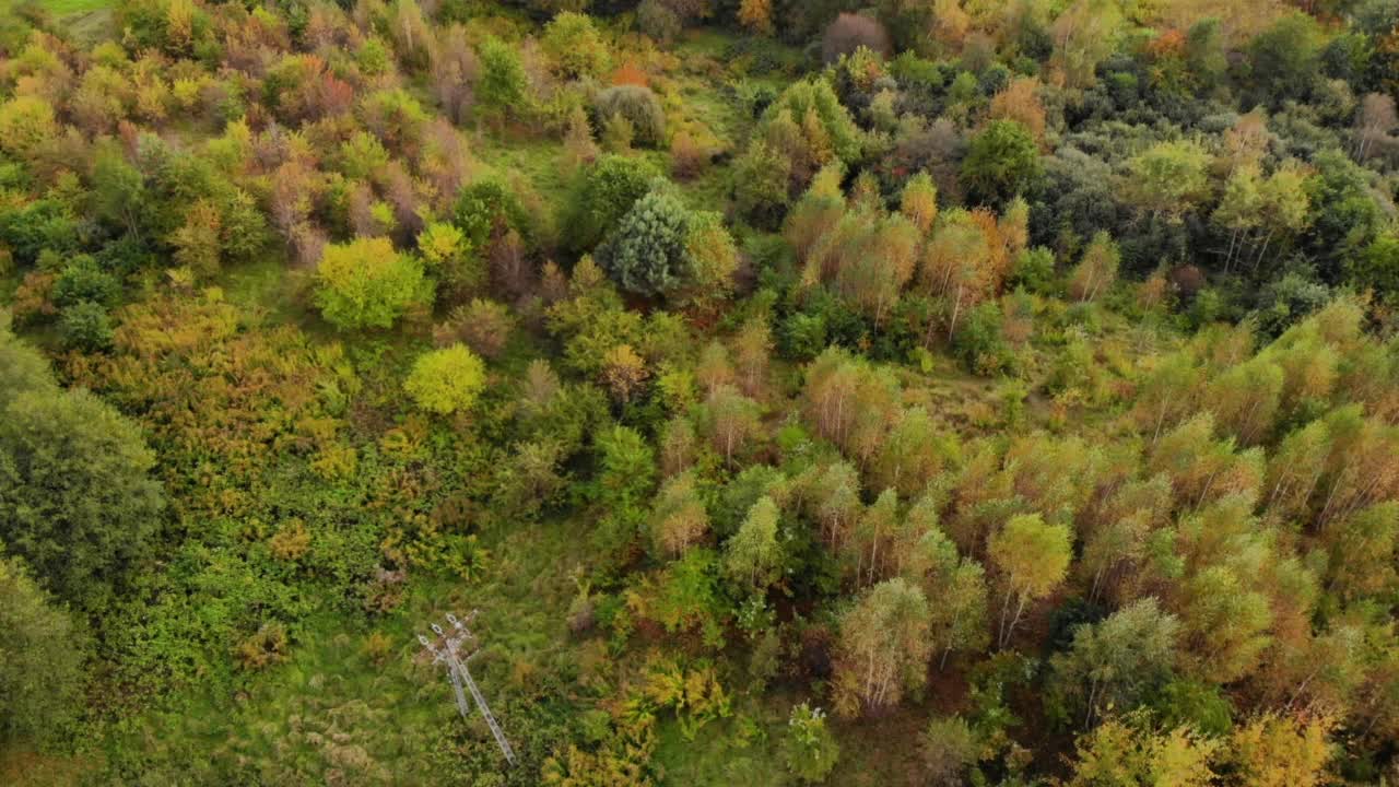 空中无人机查看秋天的颜色明亮多彩的树从上面。鸟瞰秋天的森林波兰景观鸟瞰全景，在黄色的秋天树木周围美丽的遥远的森林公园在秋天。视频素材