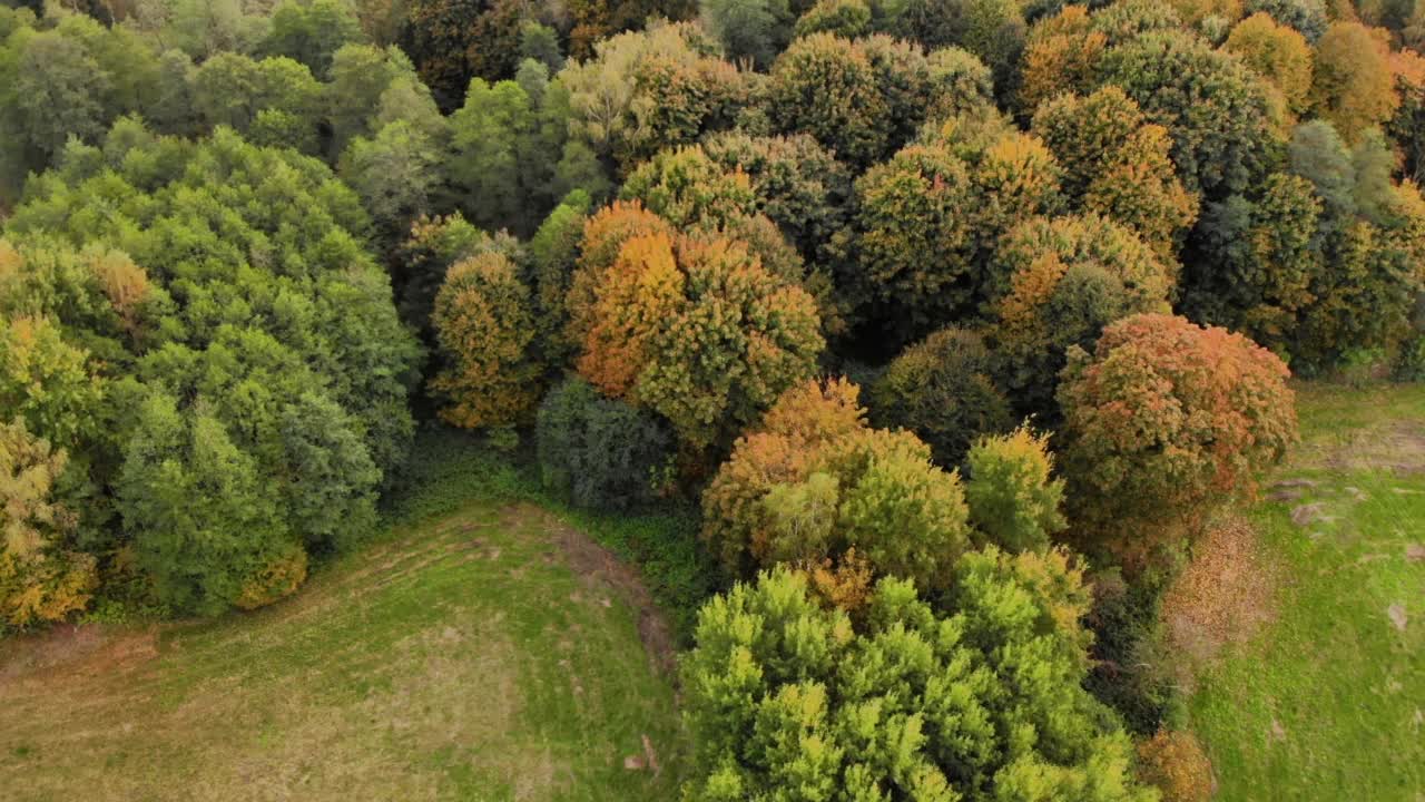 鸟瞰秋天的森林波兰景观鸟瞰全景，在黄色的秋天树木周围美丽的遥远的森林公园在秋天。空中无人机查看秋天的颜色明亮多彩的树从上面。视频素材