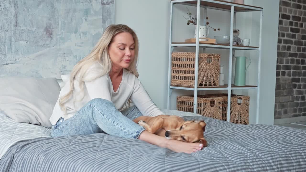 优雅美丽的金发女人简单的衣服玩可爱可爱的棕色狗狗在卧室里坐着视频素材