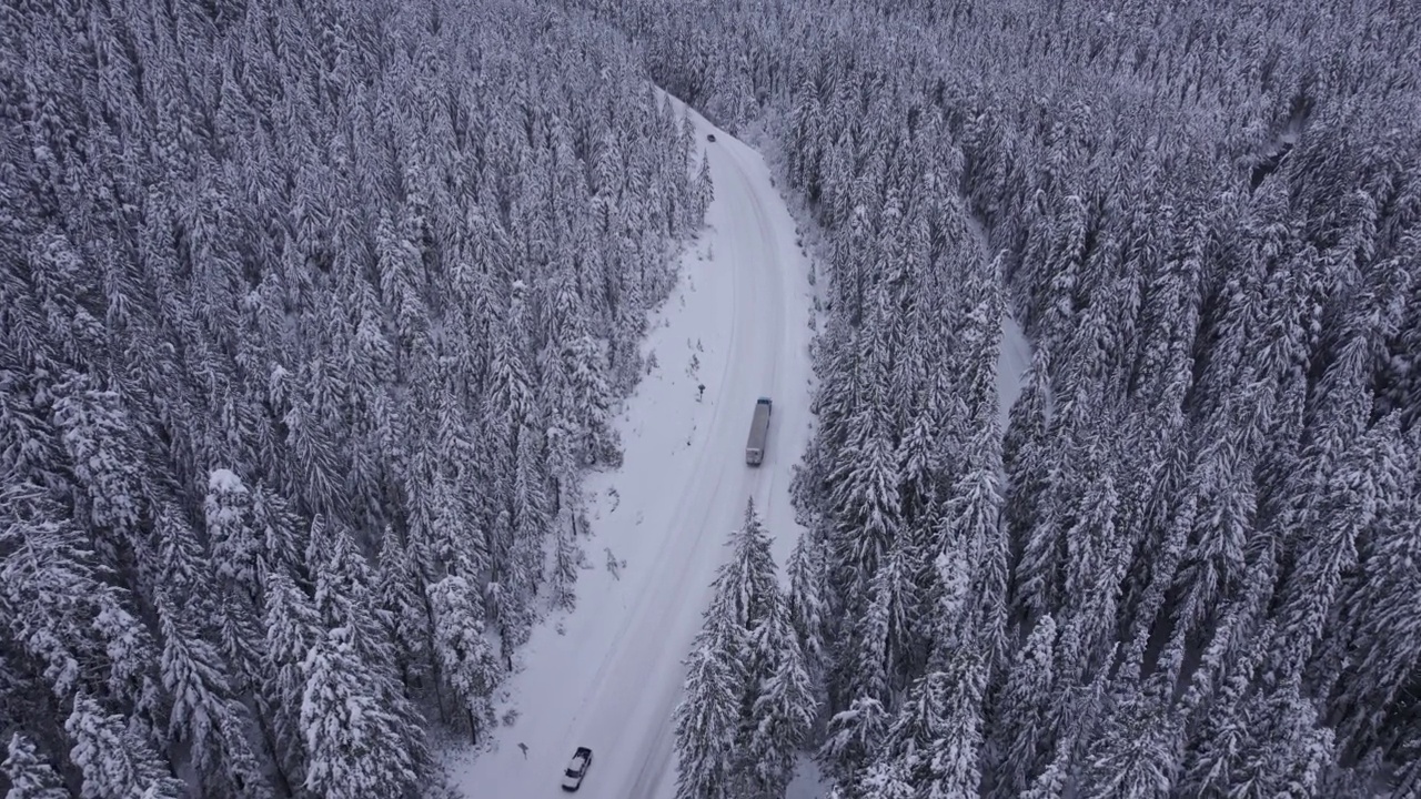 森林里的雪路跟踪半卡车倾斜视频素材