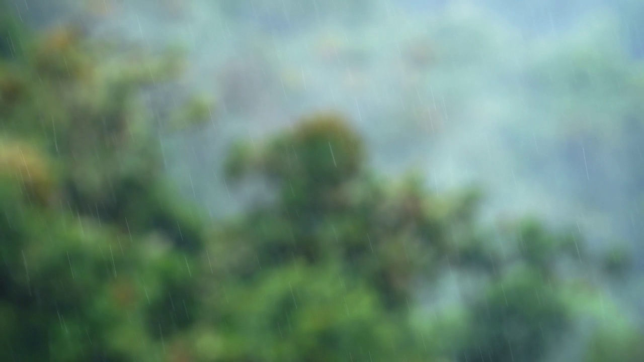 热带雨林的雨，在恶劣的潮湿天气下，绿色的风景和树木，哥斯达黎加热带地区的典型气候视频素材