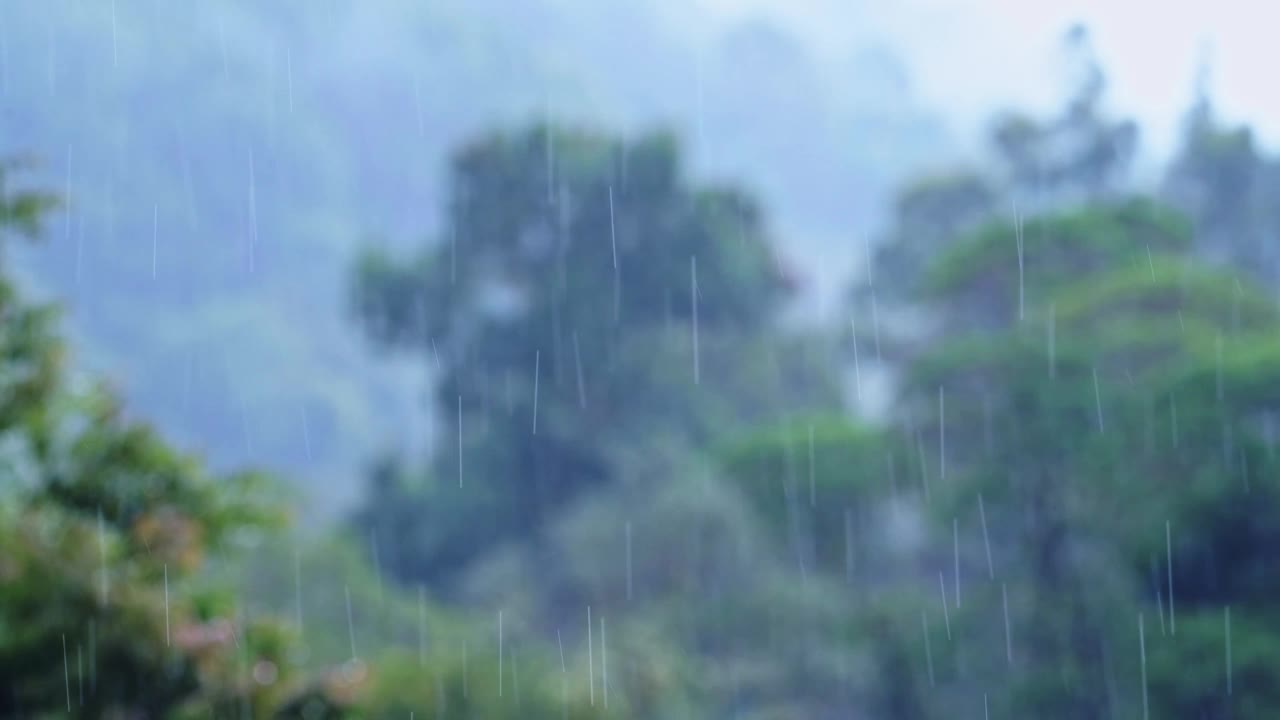 有树的热带雨林的大雨，在有树的热带风暴景观的雨季下雨，在哥斯达黎加潮湿天气气候的蓝色色调自然背景，中美洲视频素材