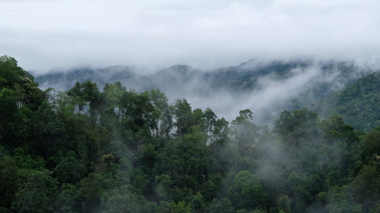 雾天的热带雨林和山丘景观视频素材