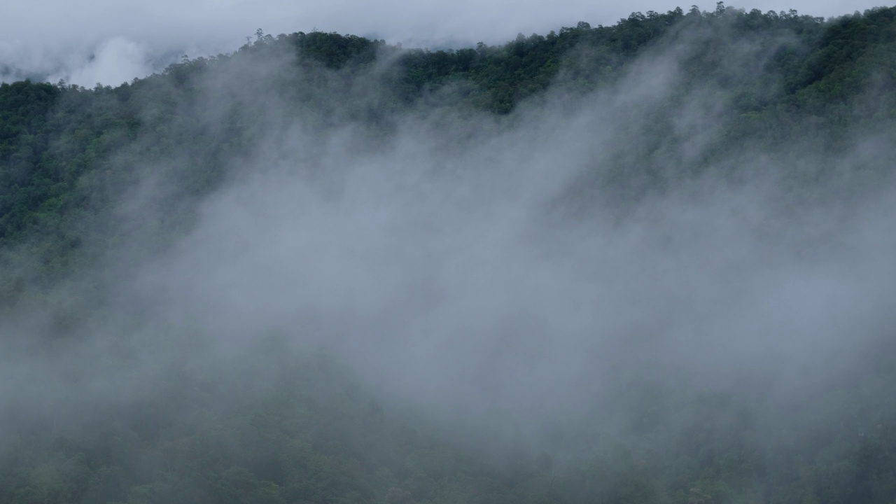 雾天的热带雨林和山丘景观视频素材