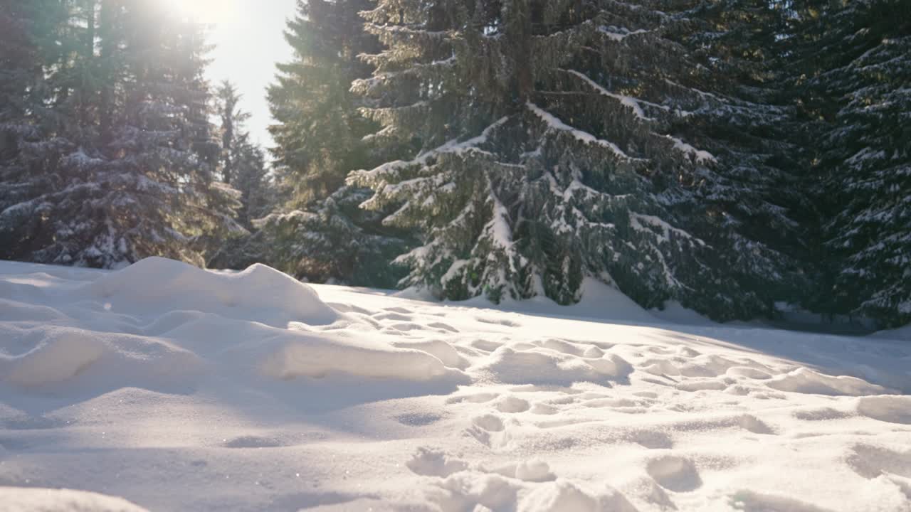 父亲和女儿走在雪道上视频素材