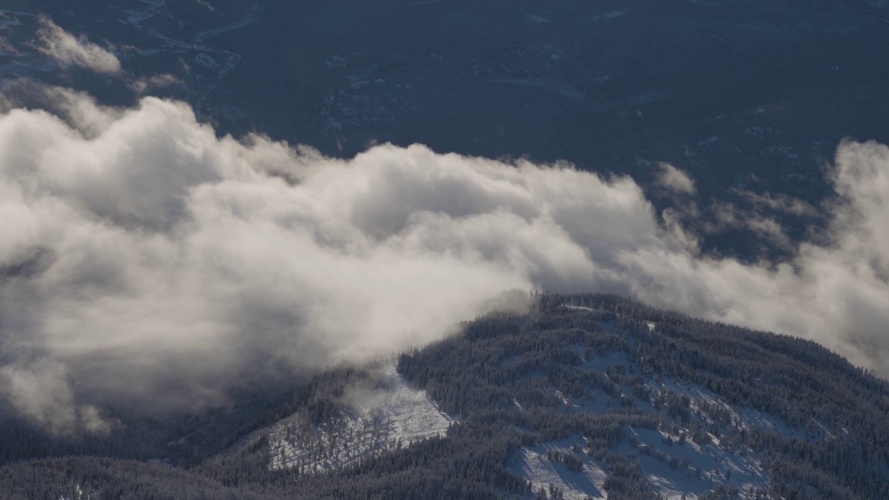 在阳光明媚的冬季，加拿大山被雪覆盖的空中全景视频素材