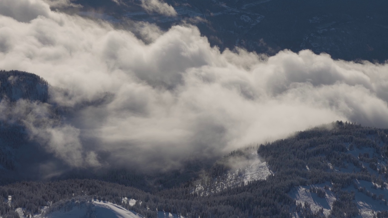 在阳光明媚的冬季，加拿大山被雪覆盖的空中全景视频素材