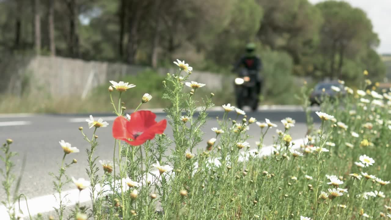 有车行驶的失焦公路。假期出发或返回的概念和汽车在路上。视频素材