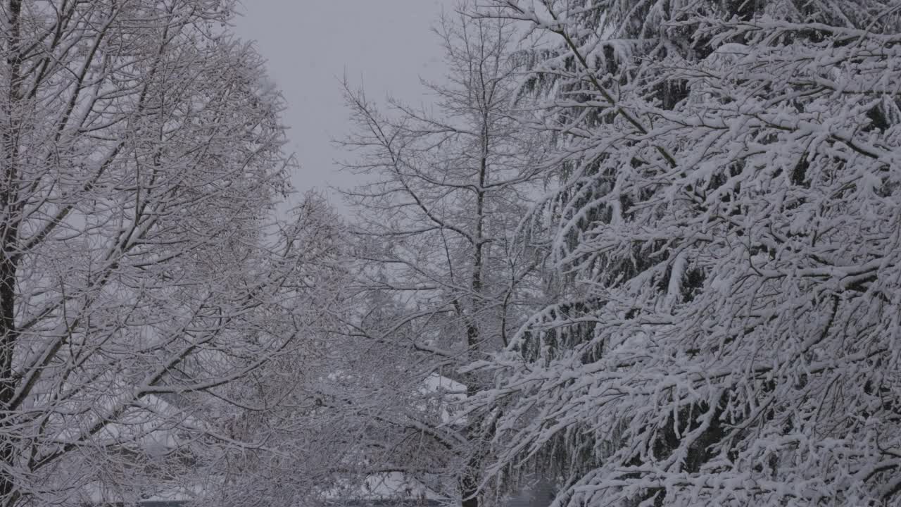 冬天，小区里新下的白雪。视频素材