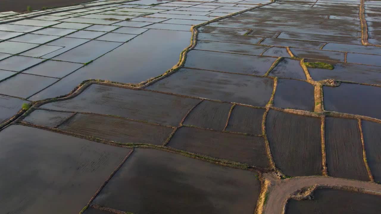 稻田鸟瞰图视频素材