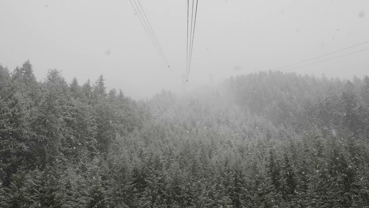 鸟瞰缆车塔，俯瞰白雪覆盖的常青树和岩石峭壁视频素材