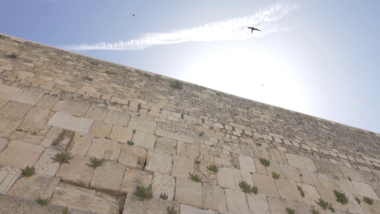 恸哭墙(kotel，西部)与雨燕鸟飞行和太阳耀斑视频素材