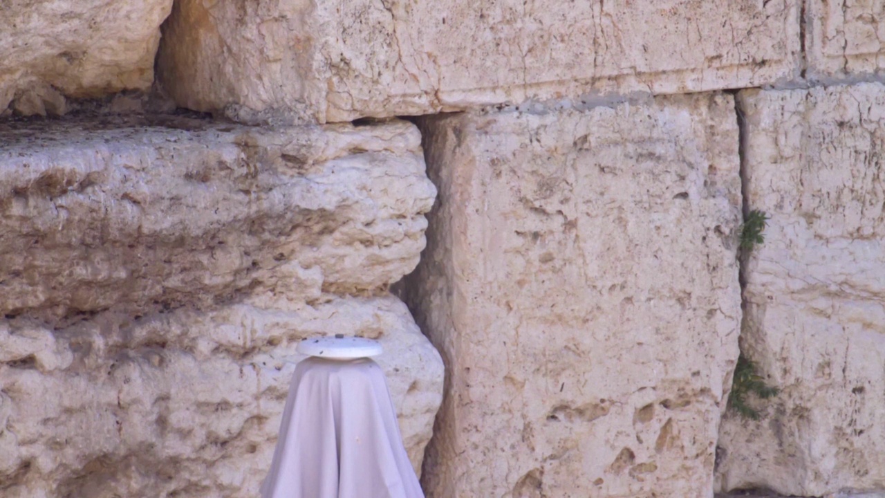 恸哭墙(kotel，西部)与雨燕鸟在慢动作飞行视频素材