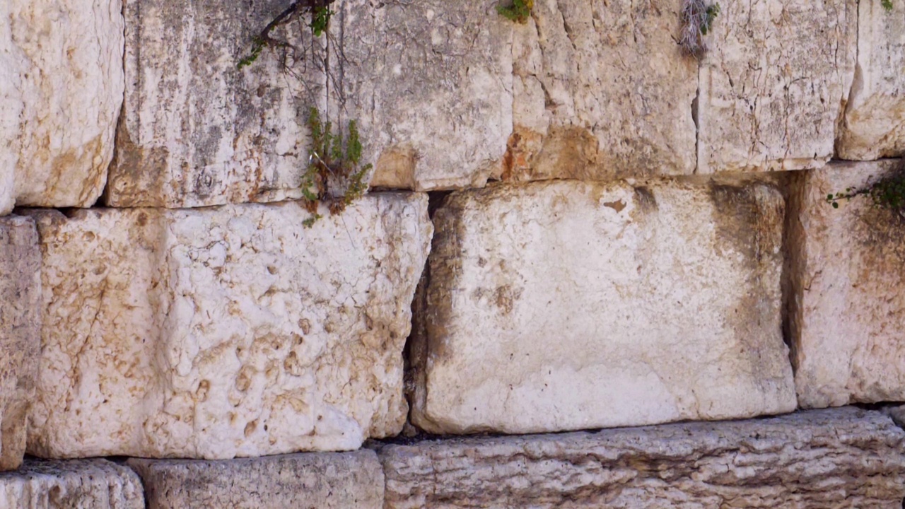 恸哭墙(kotel，西部)与雨燕鸟在慢动作飞行视频素材